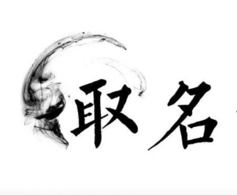  东坡宝宝取名 大师一对一人工起名