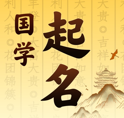 东坡国学起名 人工起名一对一
