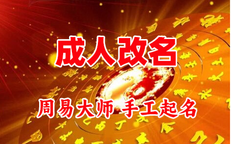 东坡成人改名-找大师一对一改名先分析后改名